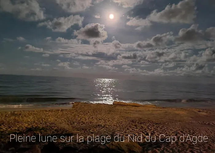De Standing La Pecherie Spacieux T3 Comme Un Cocon Familial Vue Et Sur L'avant Port Sur Le Bout Du Bout De Cap D'agde Seule Cap En Occitanie